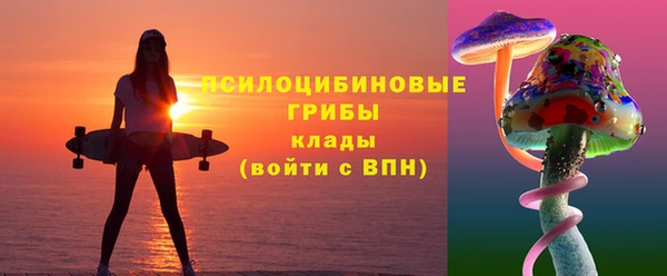 apvp Надым