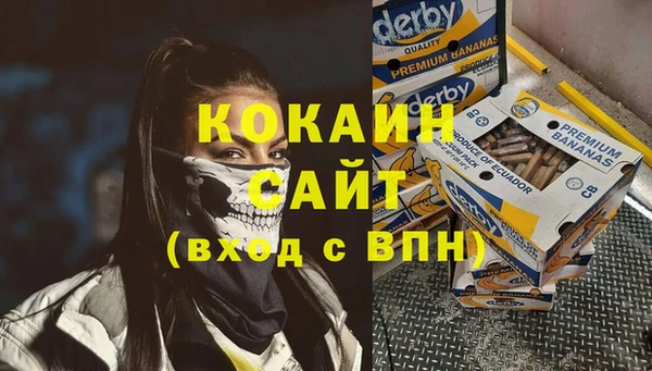 дживик Навашино