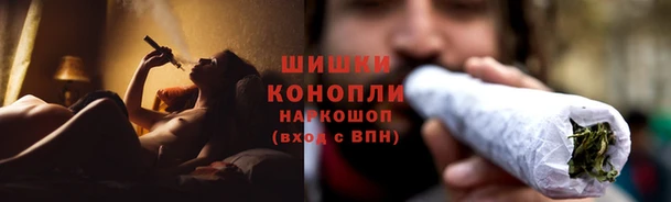 apvp Надым