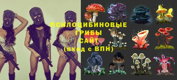 дживик Навашино
