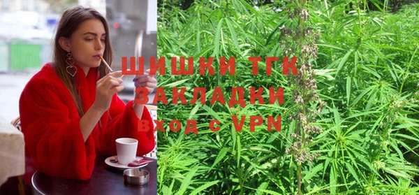 apvp Надым