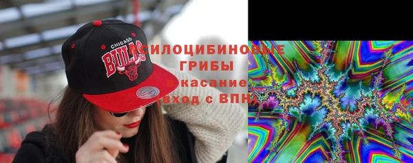дживик Навашино