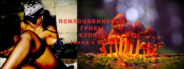 дживик Навашино