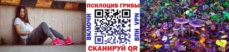 Купить Рузаевка Псилоцибиновые грибы GOLDEN TEACHER